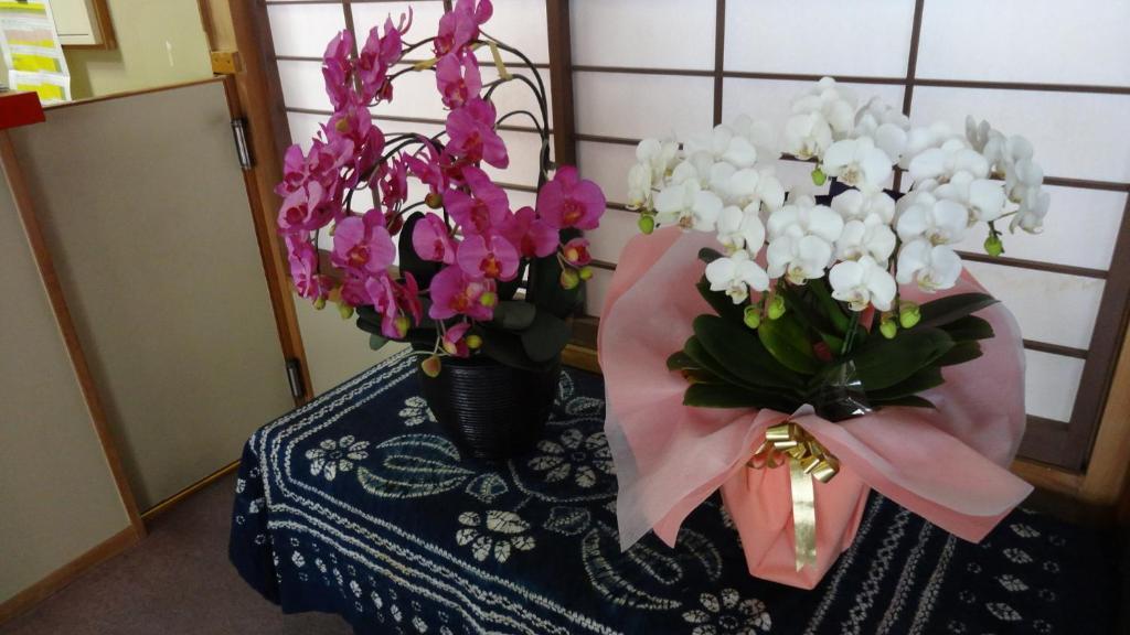 Matsunoi Ryokan Kuszacu Kültér fotó